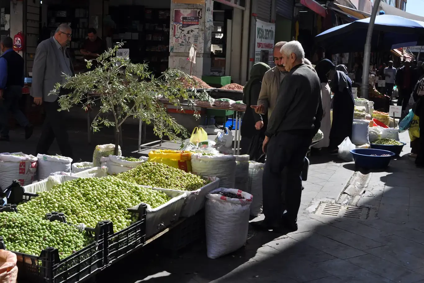 Kırma yeşil zeytin tezgâhlardaki yerini aldı