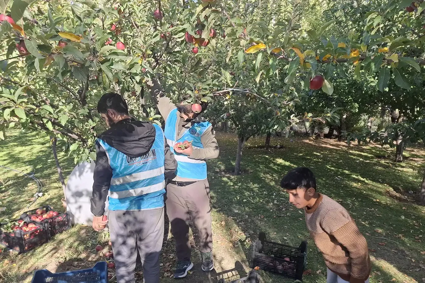 Vanlı hayırsever bahçesindeki tüm mahsulü Gazze