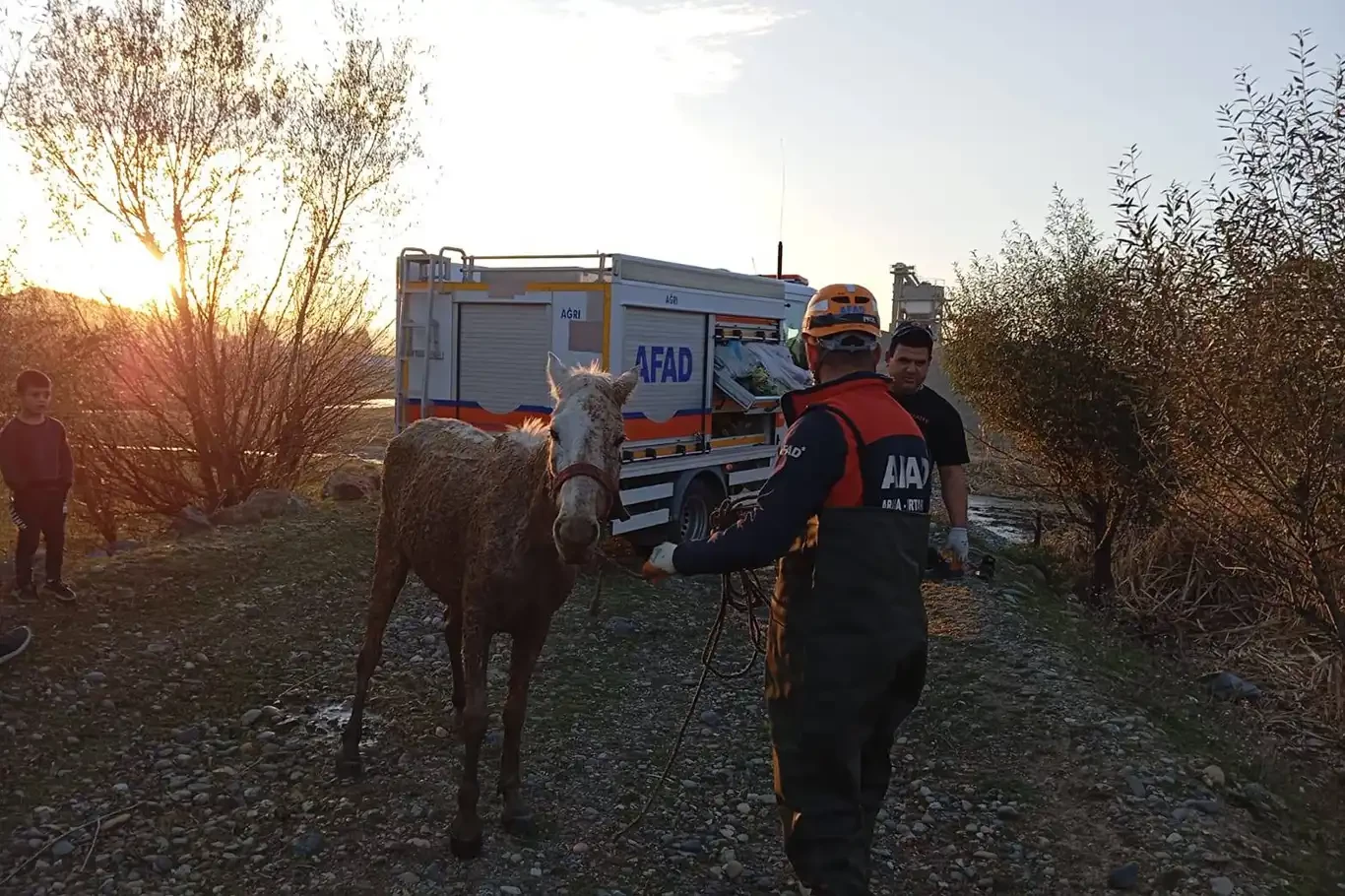 Bataklığa saplanan at AFAD ekiplerince kurtarıldı