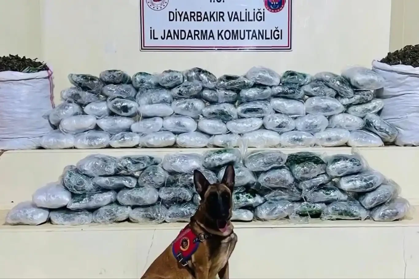 Bakan Yerlikaya: 1 ton 971 kilogram uyuşturucu, 267 bin adet uyuşturucu hap ele geçirildi