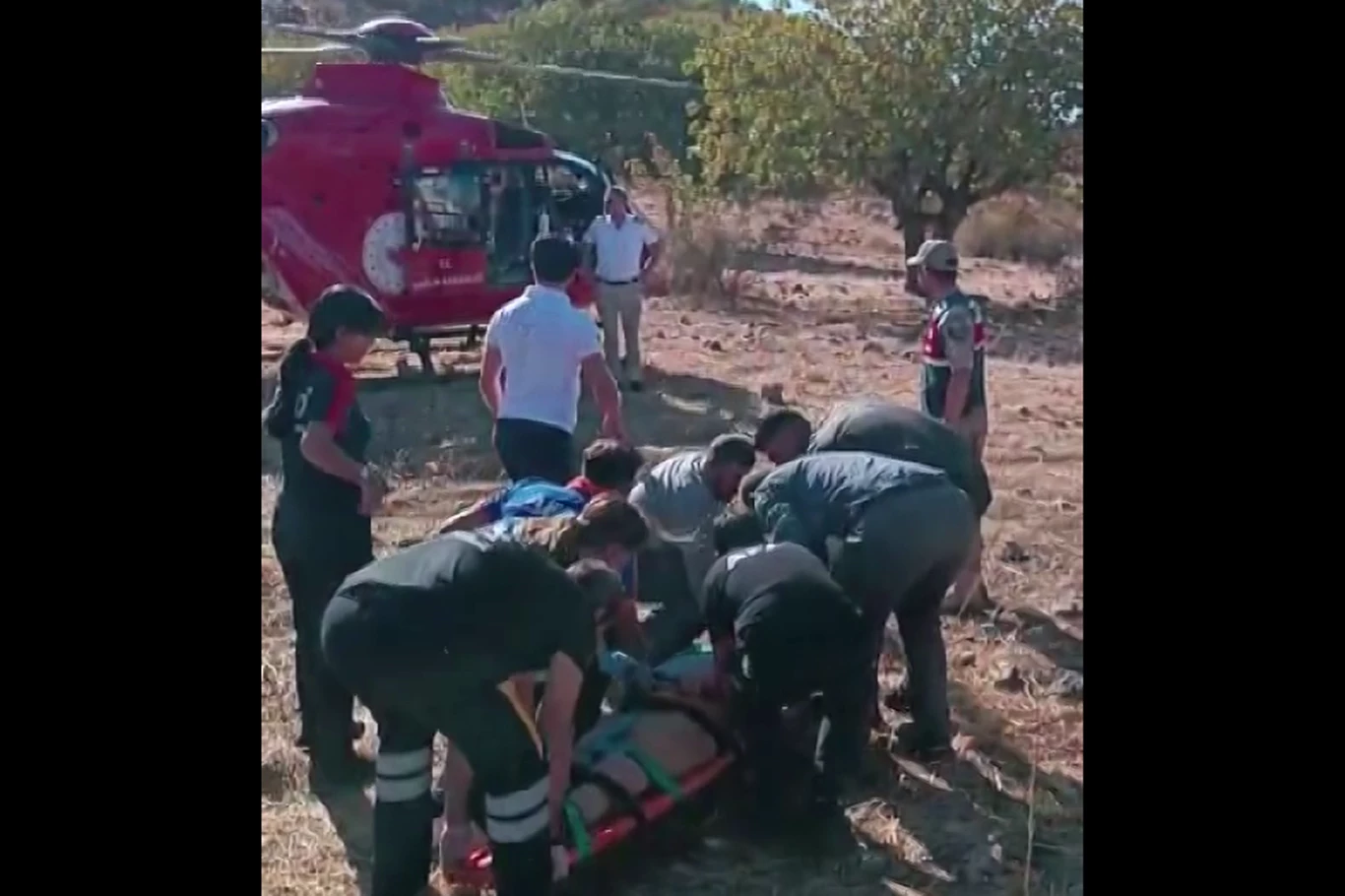 Melengiç toplarken ağaçtan düşen adam ambulans helikopterle kurtarıldı