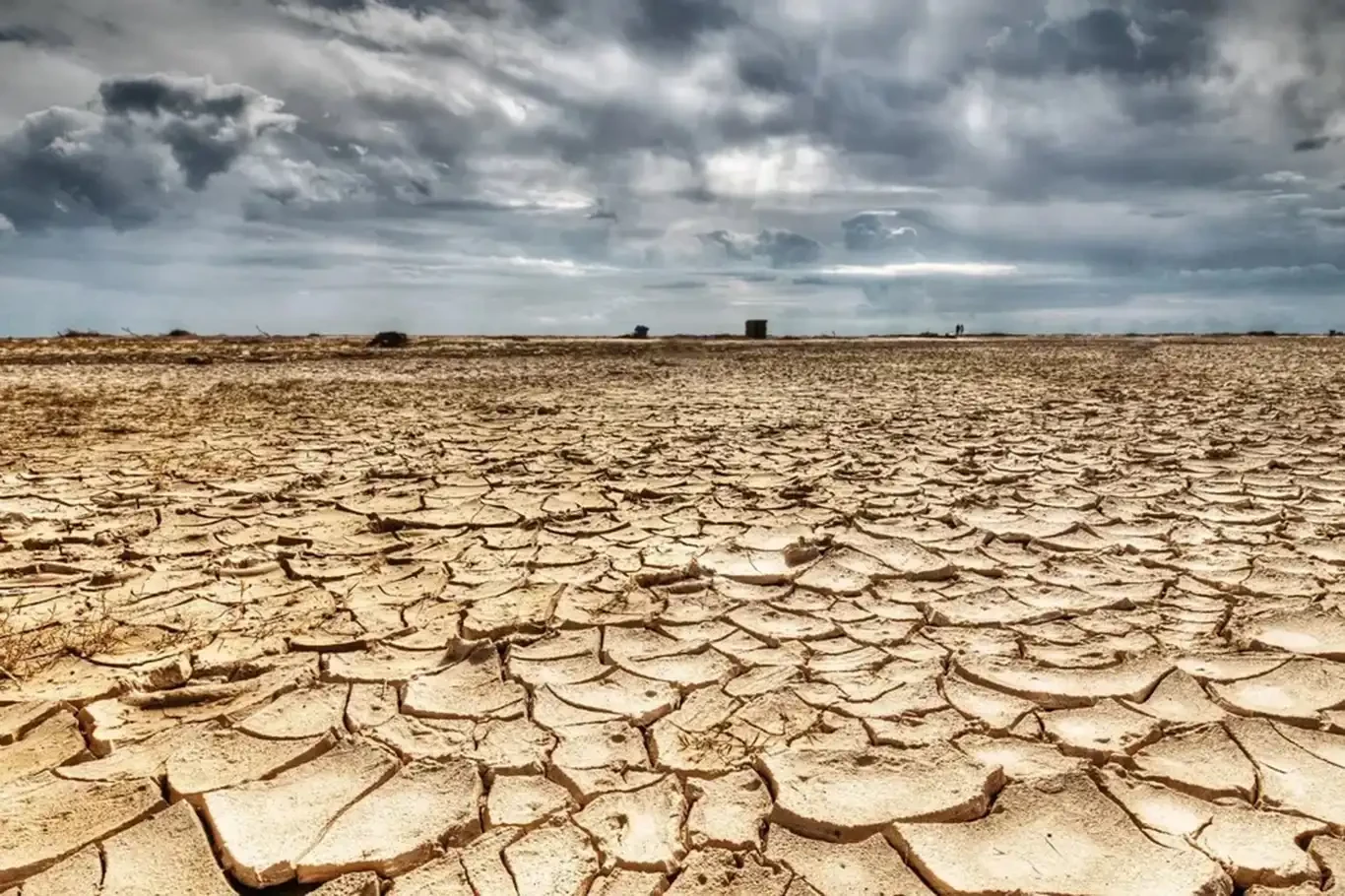 Güney Afrika