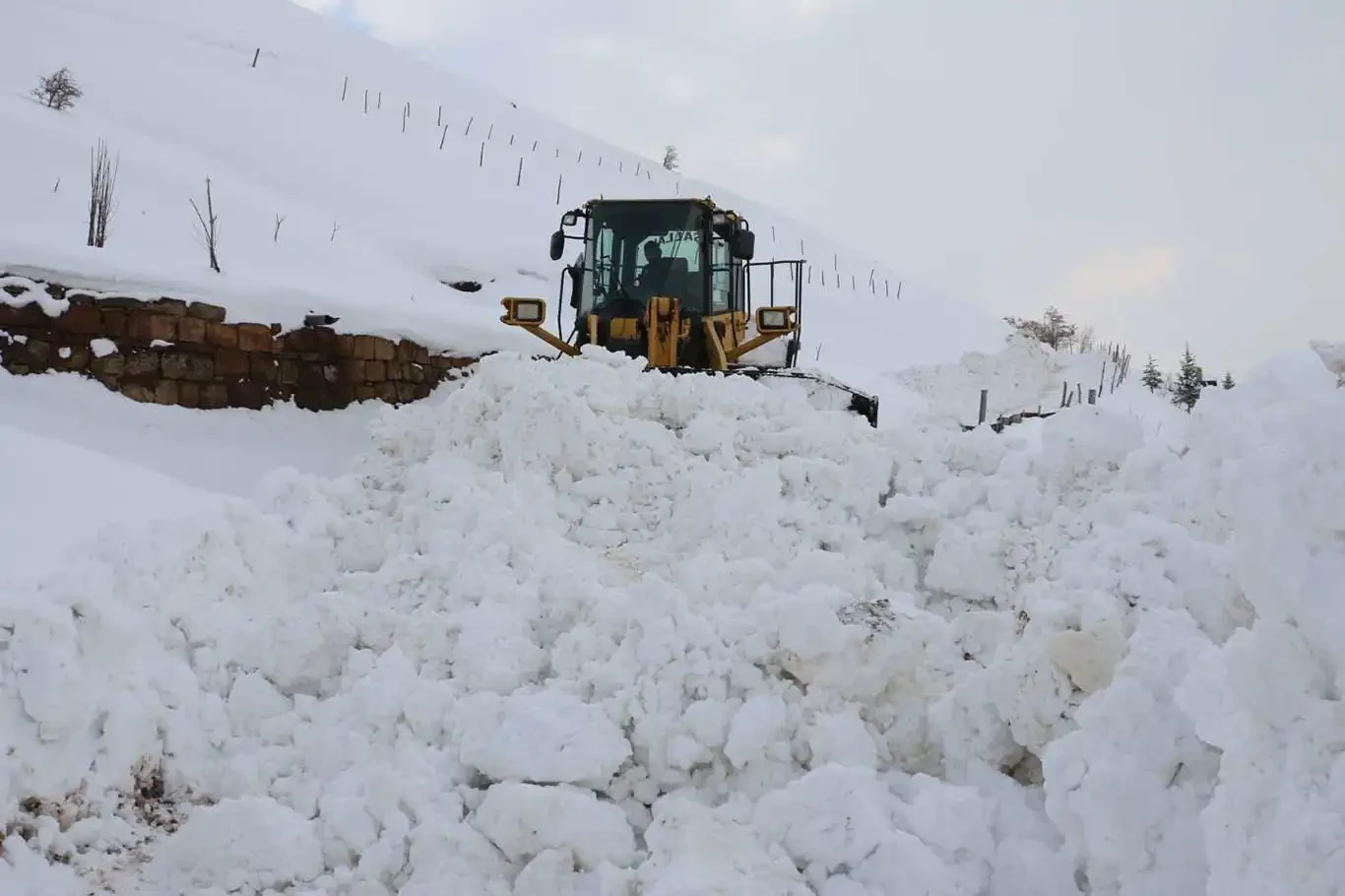 ​Van, Hakkari ve Muş