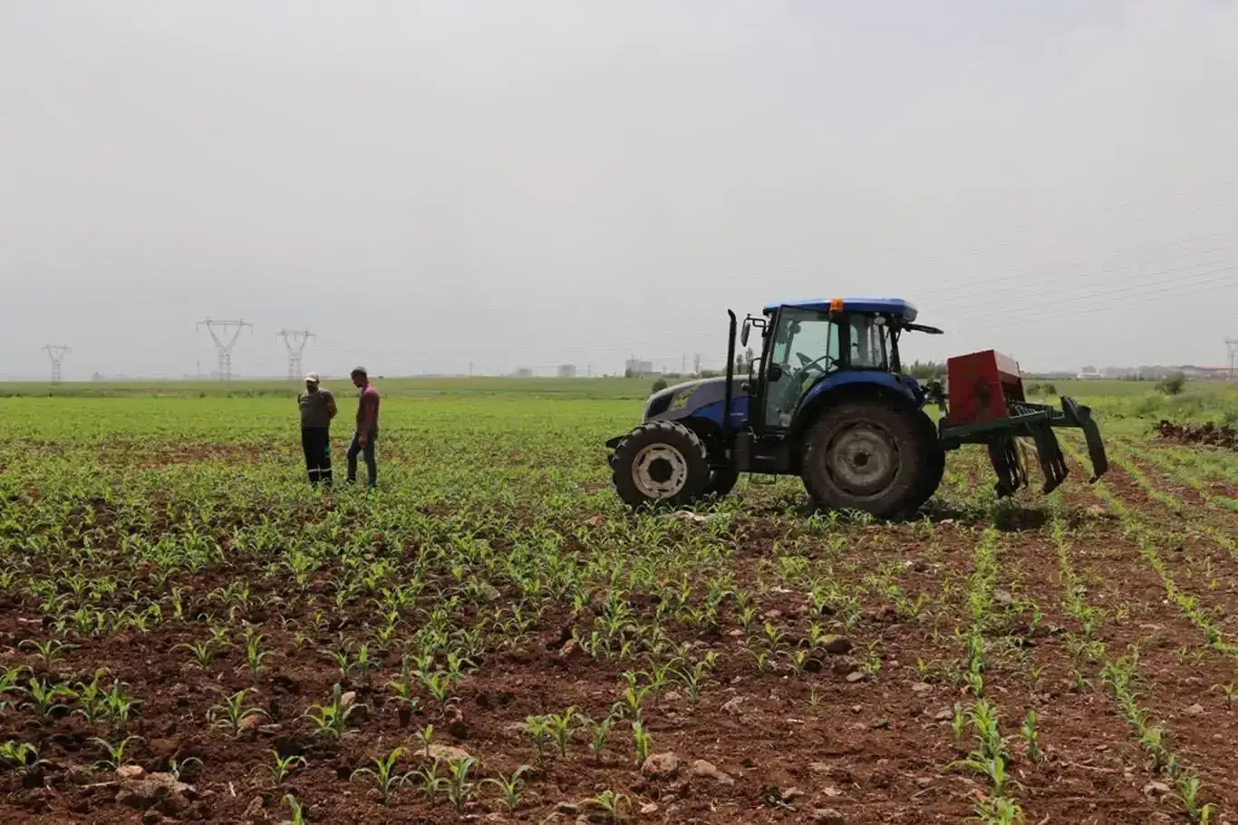 ​Kırsal kalkınma destekleri projelerin tamamlanma süresi uzatıldı