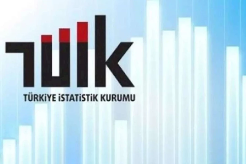 TÜİK 2023 girişim istatistiklerini açıkladı