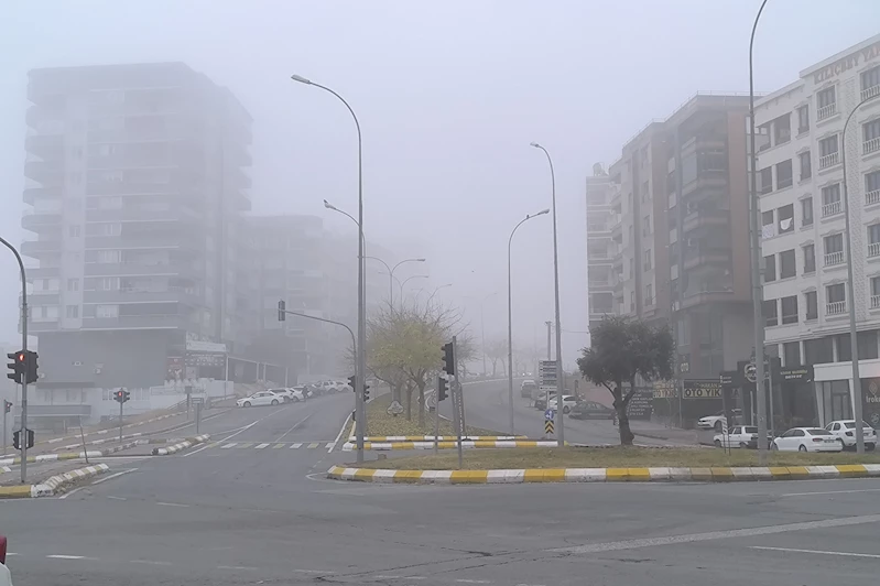 Şanlıurfa’da yoğun sis etkili oldu