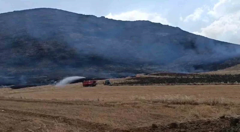 Gaziantep’te anız yangını ormanlık alana zarar verdi
