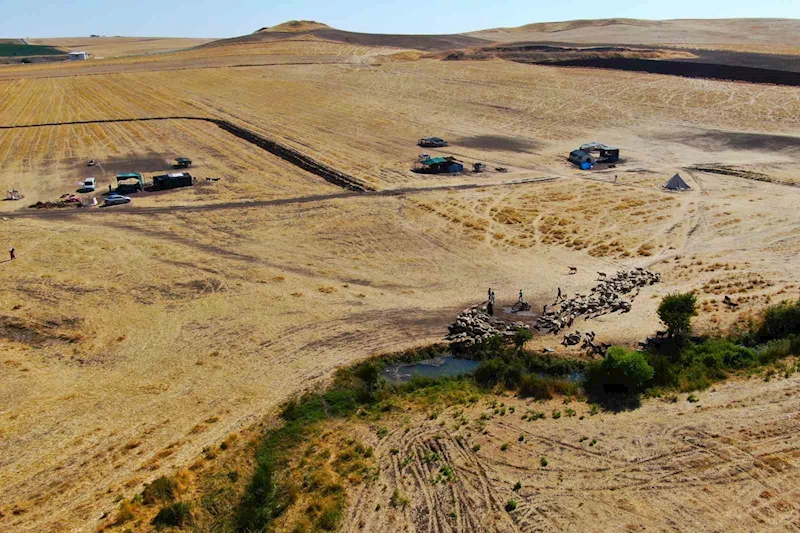 Diyarbakır’ın yaylalarında konargöçer aileler zorlu yaşamını idame ettiriyor
