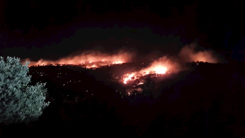 Mardin’de gece saatlerinde korkutan yangın kontrol altına alındı
