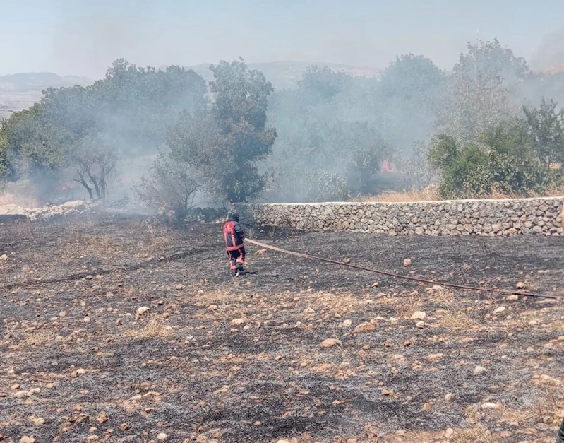 Şırnak’ta örtü yangını
