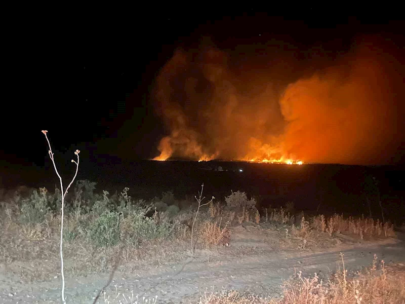 Lice’de gece başlayan orman yangını söndürüldü
