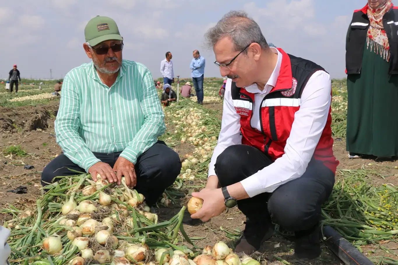 Adana İl Tarım ve Orman Müdürü Kökçüoğlu: Planlı üretim yapılacak