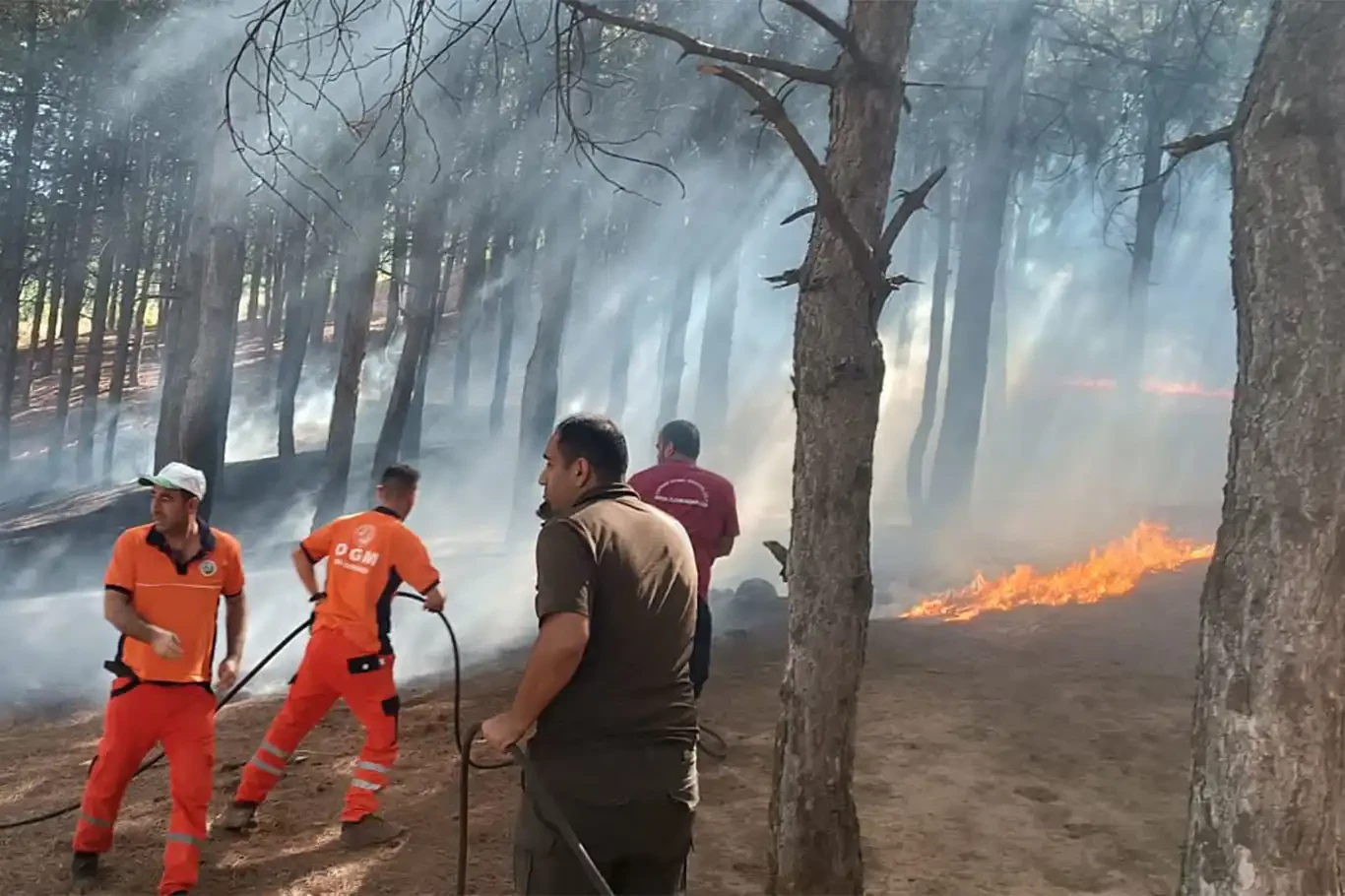 Bingöl’de çıkan orman yangını büyümeden söndürüldü