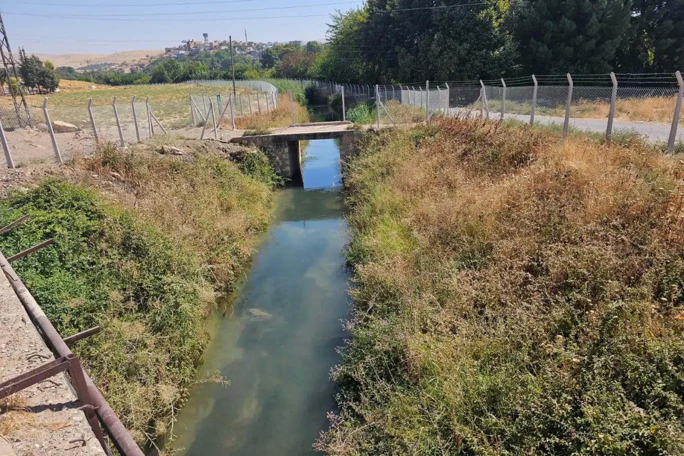 Yol kenarında tabancayla vurulmuş bir cenaze bulundu