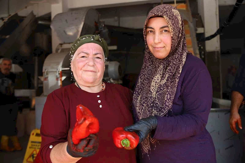 Gaziantep’te kadınlar ekmeklerini ’acı’dan çıkarıyor
