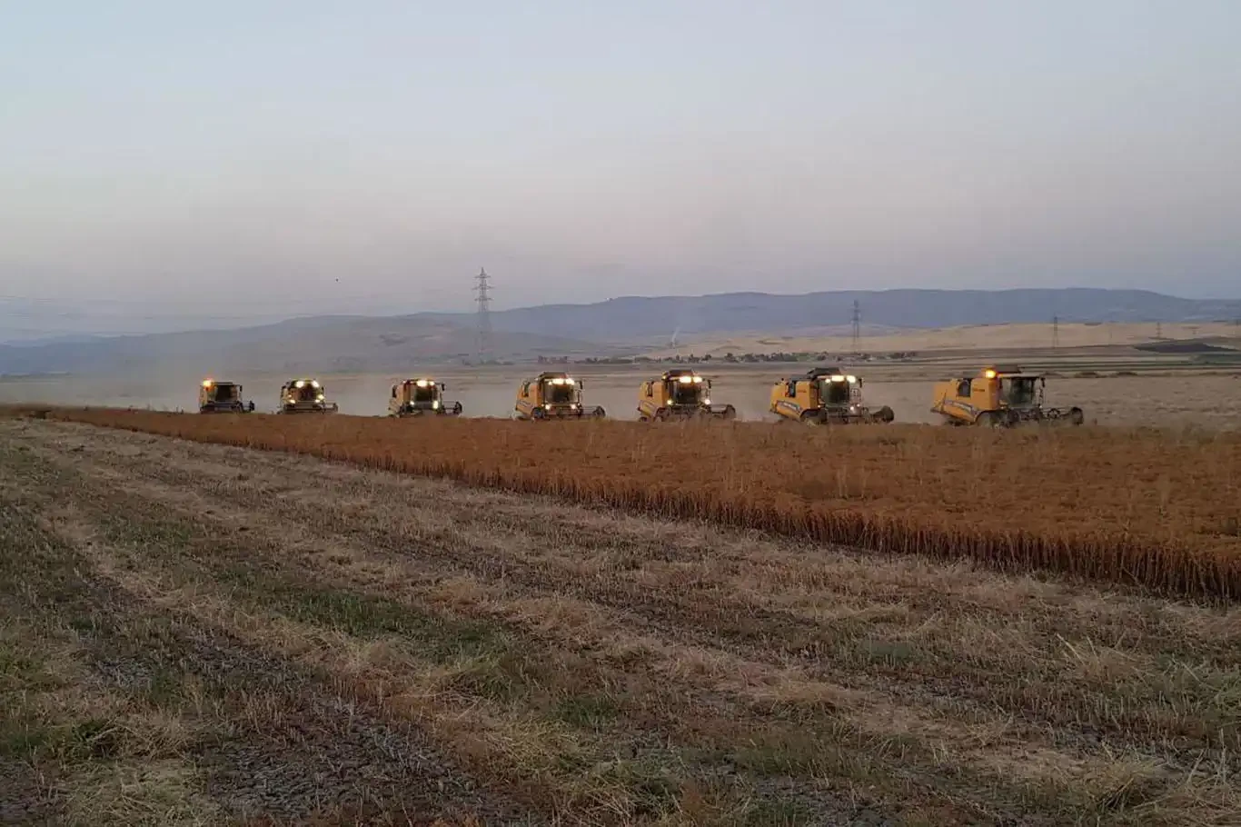 Tarım ÜFE ağustosta aylık bazda azaldı