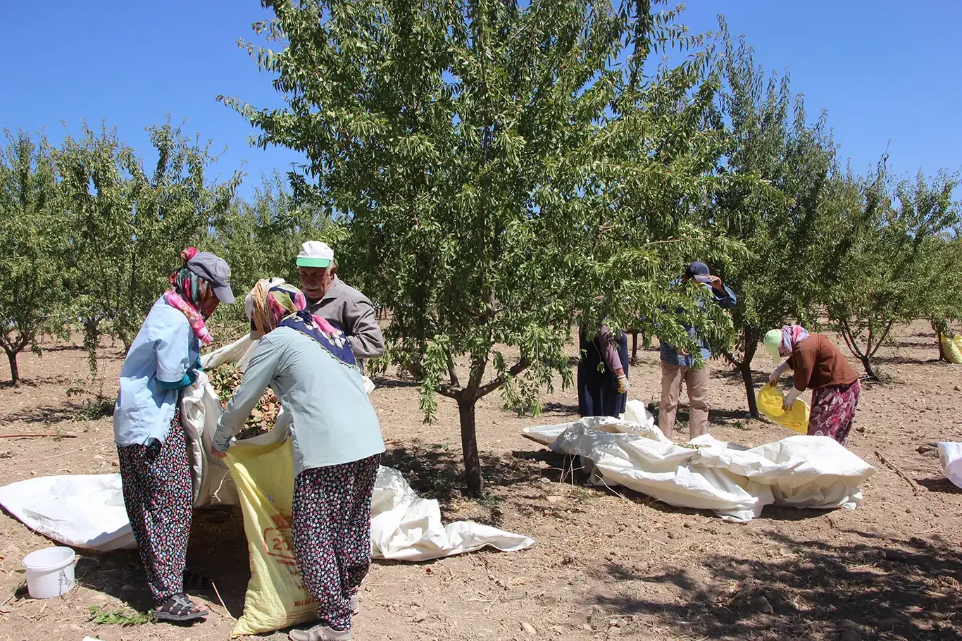 Tarım işçileri: Alım gücümüz kalmadı