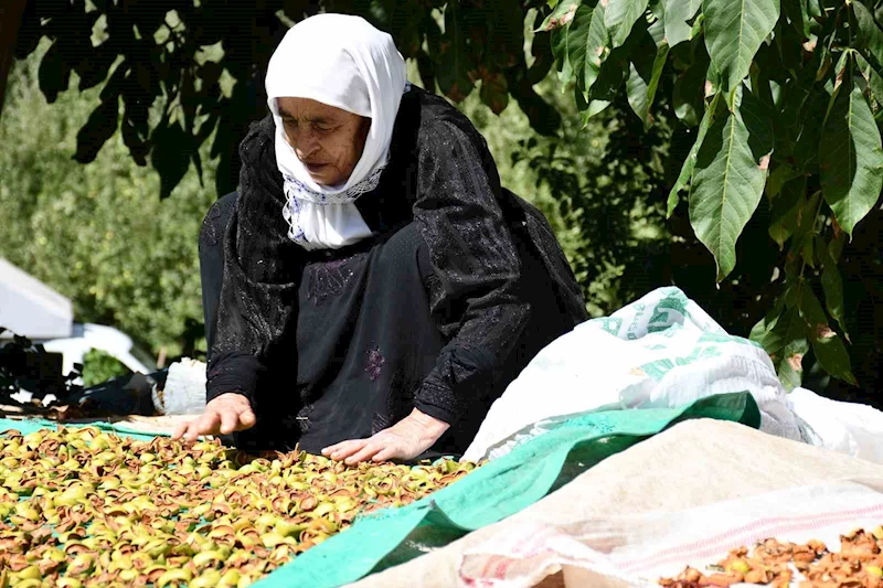 Evlerin damları kışlıklarla doldu
