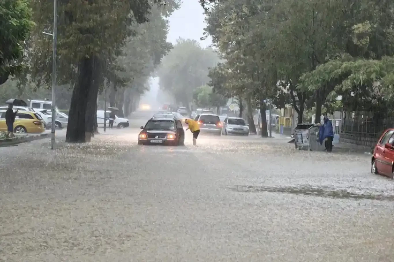 Karadeniz kıyıları ile Sakarya ve Bolu için 