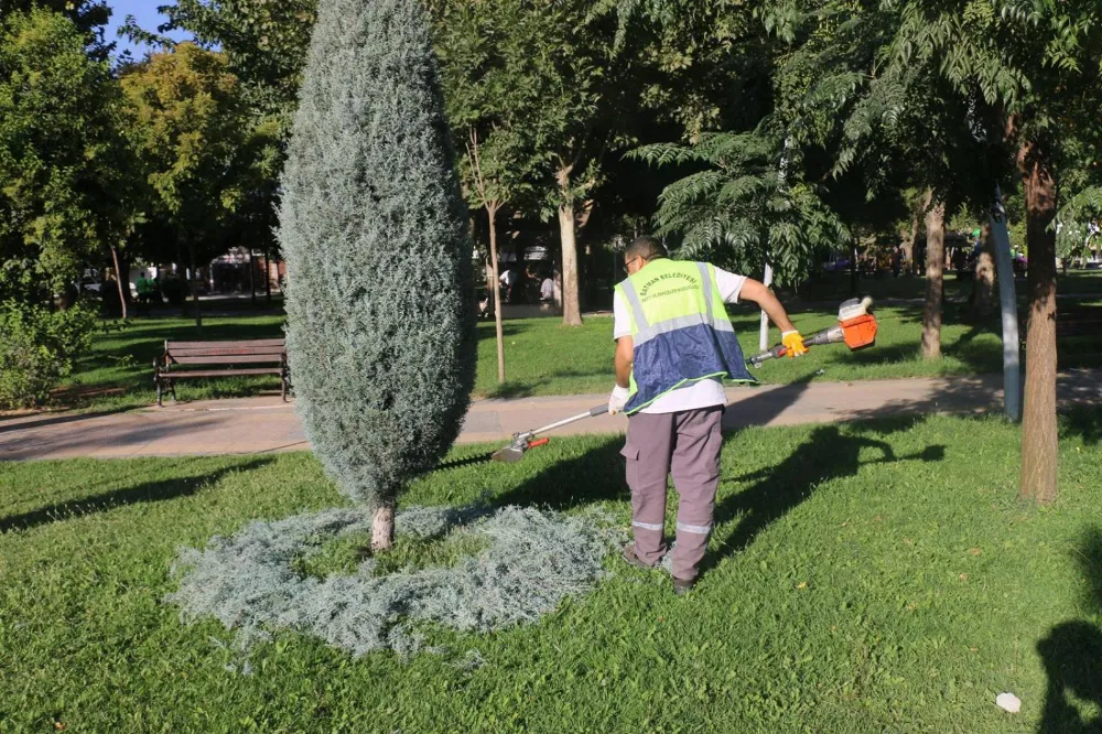 Yeşil alanlar ile süs havuzlarına düzenli bakım