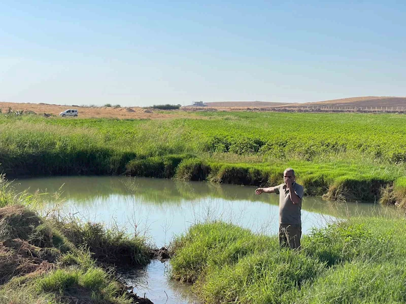 Harran Ovası’nda oluşan dev obruklar çiftçileri korkutuyor
