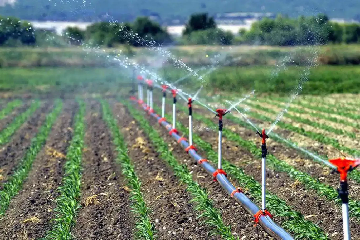 Tarım ve Orman Bakanlığı: Çiftçilere 406,6 milyon liralık destek ödemesi yapıldı