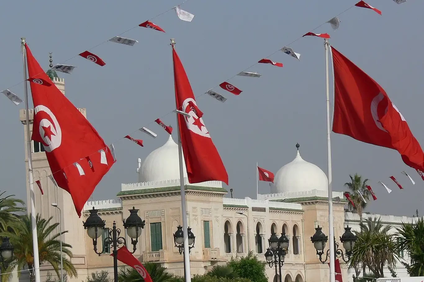 Tunus Cumhurbaşkanı, seçimlere bir ay kala tüm valileri değiştirdi