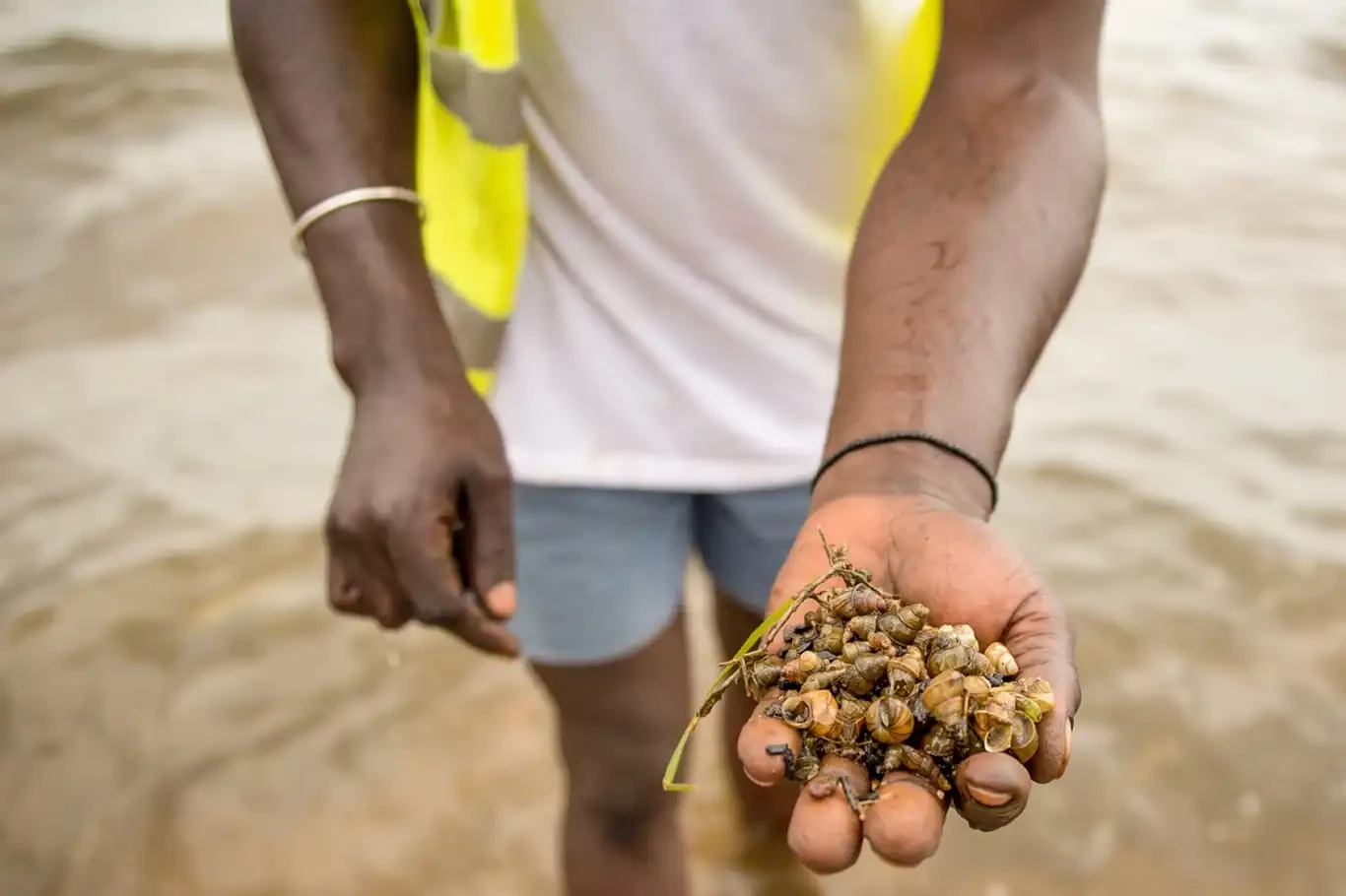 Güney Afrika