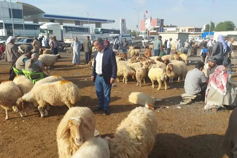 Şanlıurfa’da 