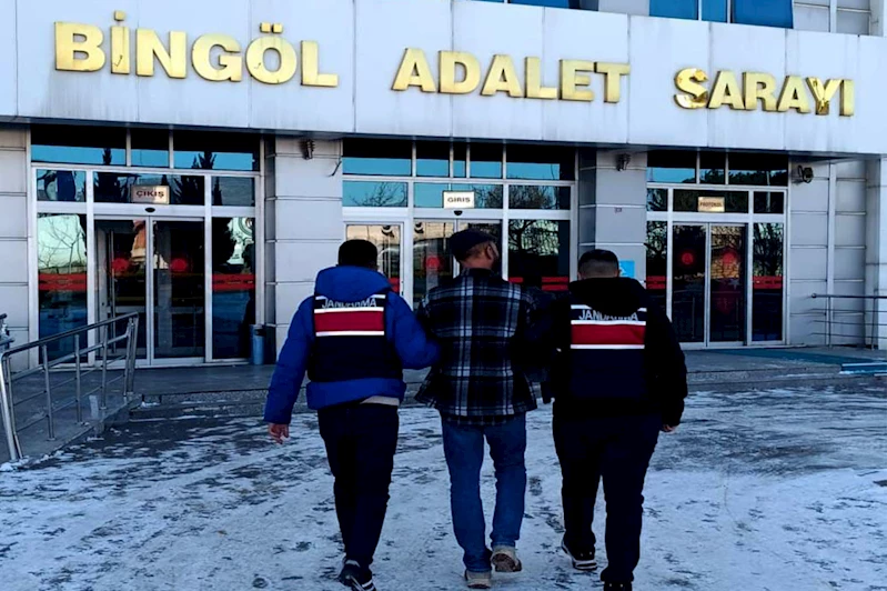 Bingöl’de asayiş operasyonu: 2 gözaltı