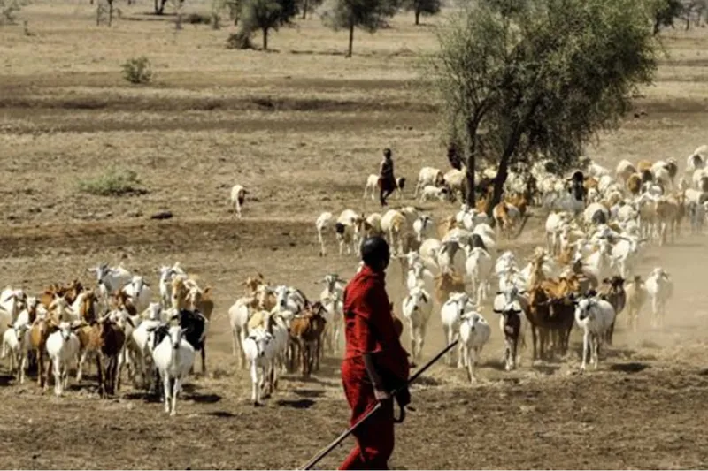 Senegal