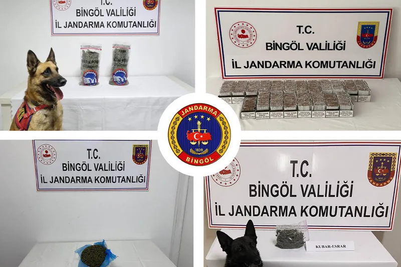 Bingöl’de uyuşturucu ve kaçakçılık operasyonları: 2 tutuklama