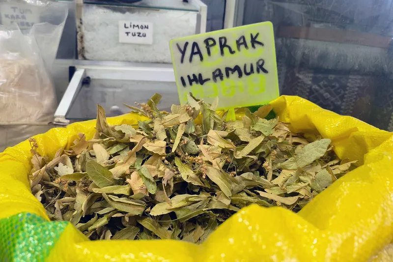 Kış gelmeden tükeniyor! Şifa arayanların ilk durağı