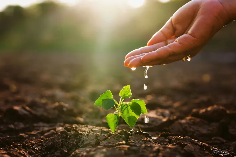 TEMA Vakfı’ndan Şanlıurfa için kritik çağrı: Toprak kaybı gıda ve iklimi tehdit ediyor