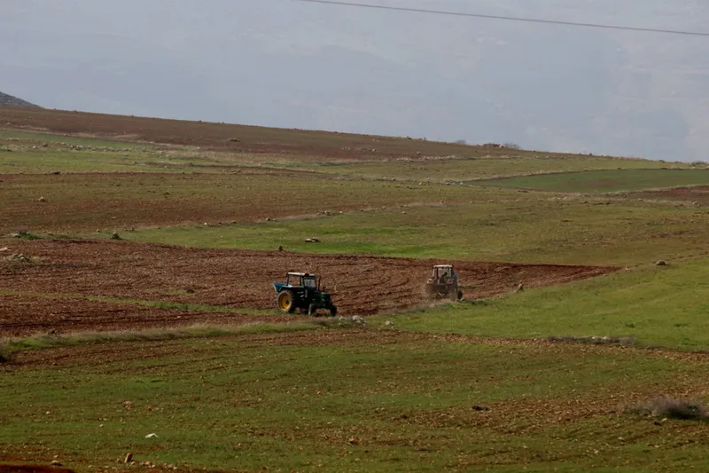 İşgalciler, Filistinlilerin arazilerine el koyuyor