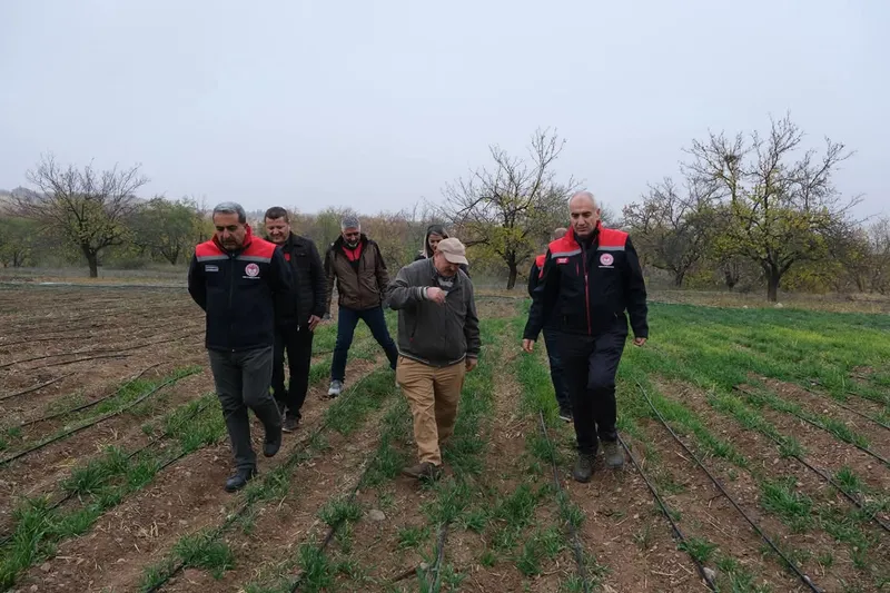 Dünya kayısı başkenti Malatya