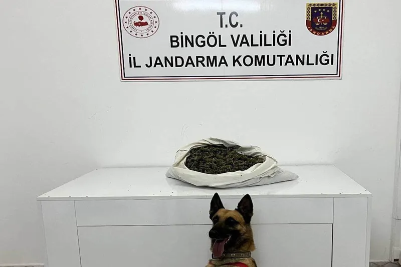 Bingöl’de durdurulan araçta 2 kişi gözaltına alındı 