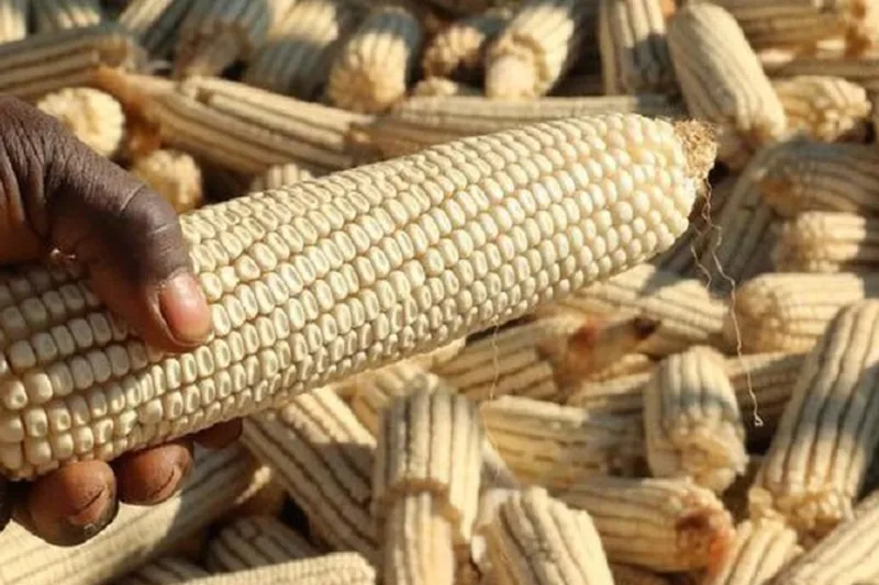 Afrika ülkesi Malavi