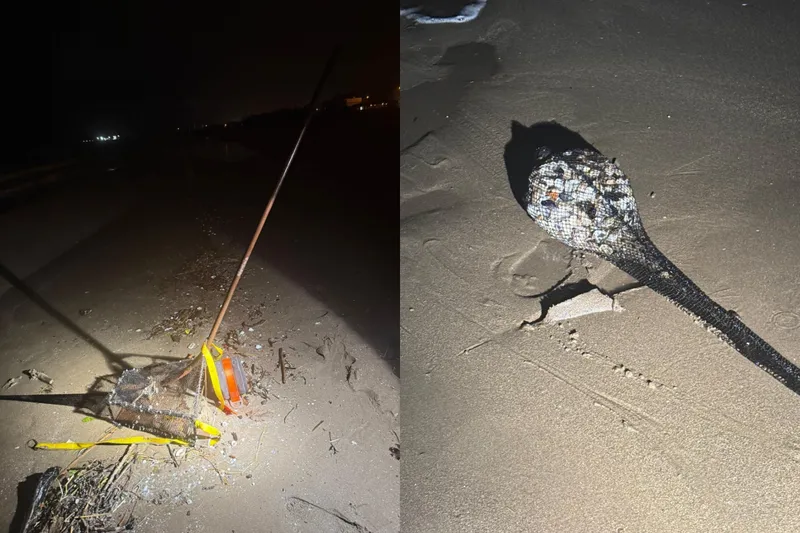 Ordu’da kum şırlanı avcılığı yapanlara ceza uygulandı