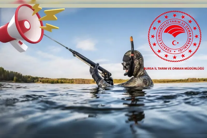 Amatör balıkçılar için sualtı avcılığında yeni zorunluluk