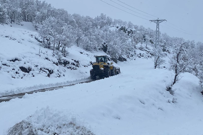 Şırnak