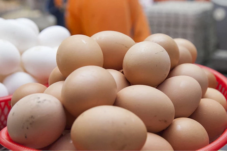 ABD’de 100 bin tavuk yumurtası çalındı