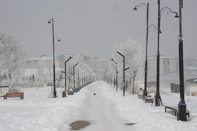 Hava sıcaklığı Ağrı