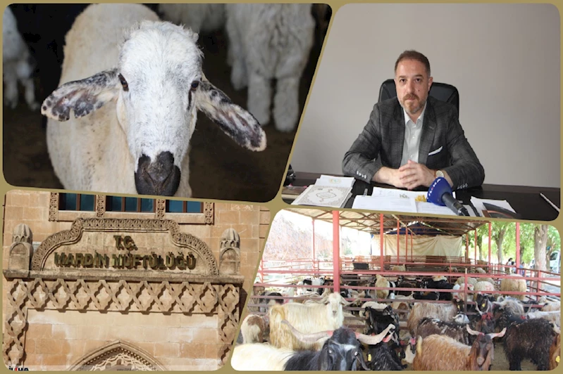 Üney: Kurban Bayramı tatil değil, ibadet ve yakınlaşma zamanıdır