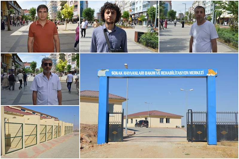 Siirt’te başıboş hayvanların barınaklara alınması vatandaşı memnun etti