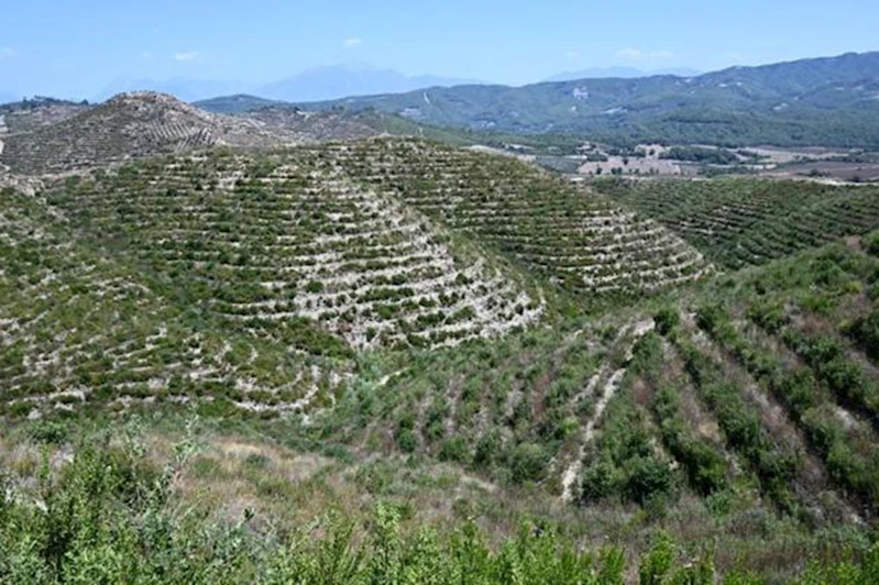 Osmaniye