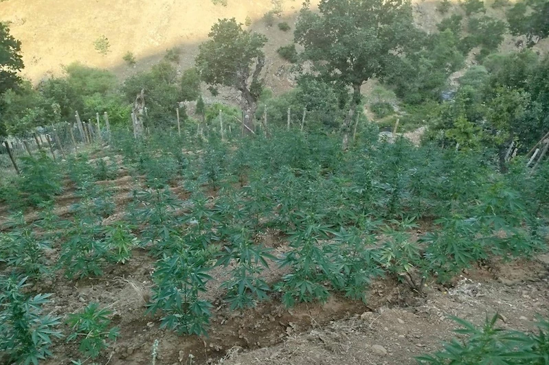 Bingöl