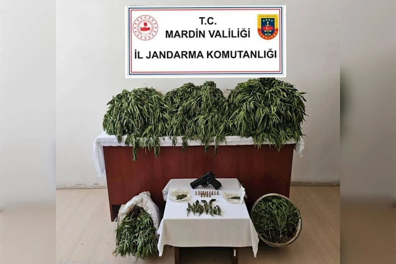 Mardin