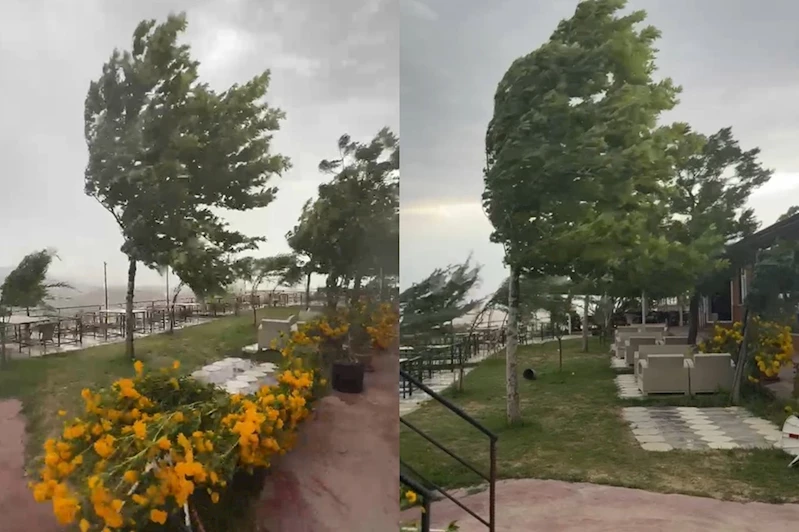Palu