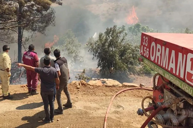 Bakan Yumaklı: 4 ildeki 5 orman yangını kontrol altına alındı